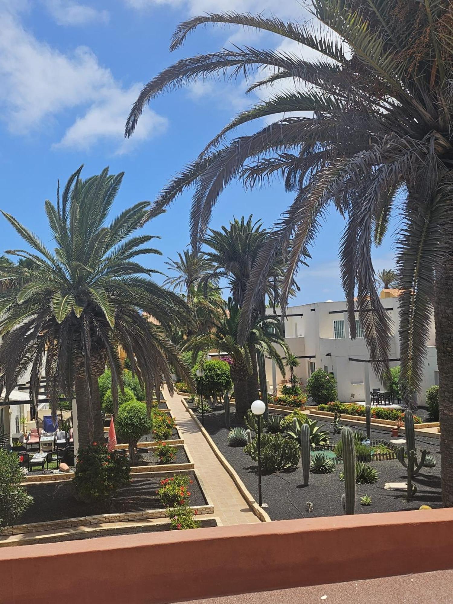 New Alisios Playa Lägenhet Corralejo Exteriör bild