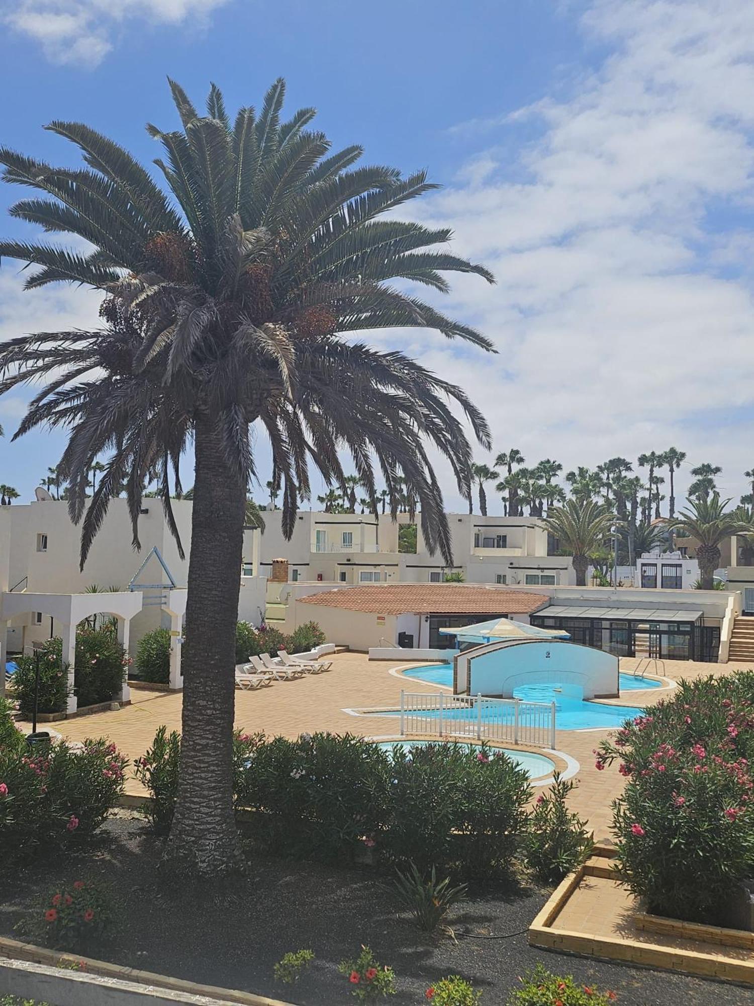 New Alisios Playa Lägenhet Corralejo Exteriör bild